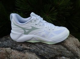 Mizuno Wave Momentum Pro