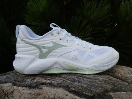 Mizuno Wave Momentum Pro