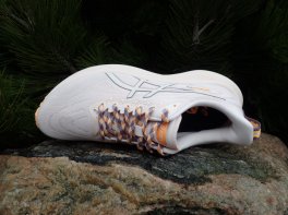 Asics GT-2000 