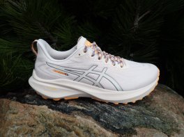 Asics GT-2000 