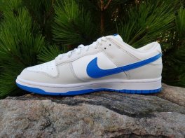 Nike Dunk Low Retro
