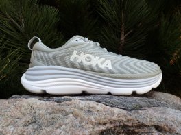 Hoka Gaviota 5