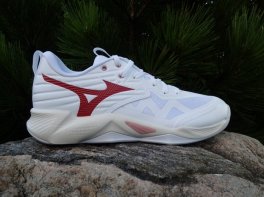 Mizuno Wave Momentum Pro