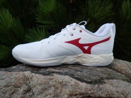 Mizuno Wave Momentum Pro