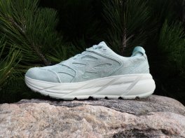 Clifton L Suede