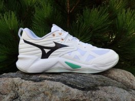 Mizuno Wave Momentum Pro