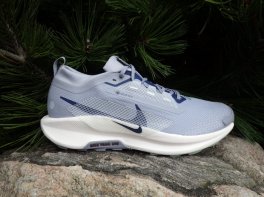 Nike Pegasus Trail 5 GTX