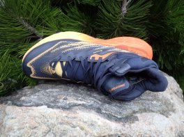 Hoka speedgoat 5