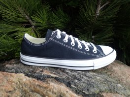Converse Chuck Taylor All Star Low
