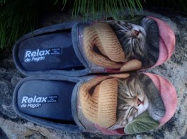 Relax Ispaniškos Šlepetės Moterims