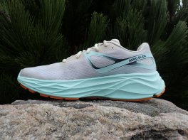 Salomom Aero Glide 