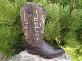  Kentucky's Western