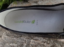 Waldläufer Hegli