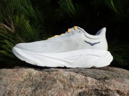 Hoka Arahi 8