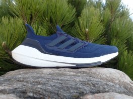 Adidas Ultra Boost 21