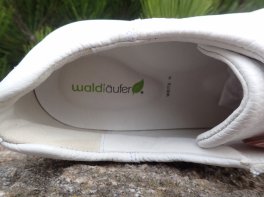 Waldläufer Vivien