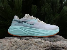 Salomom Aero Glide 