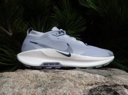Nike Pegasus Trail 5 GTX
