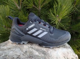 Adidas Terrex Swift R3 Gore -Tex