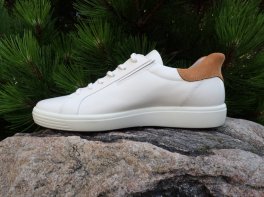 Ecco Soft 7