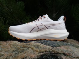 Asics GT-2000 