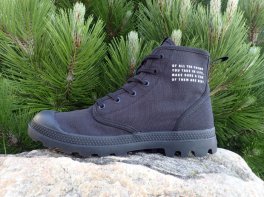 Palladium Pampa Interceptor