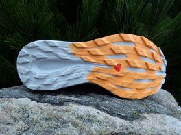 Salomon Pulsar Trail GTX
