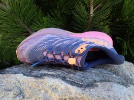 Hoka speedgoat 5