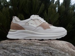 Waldläufer Rosa