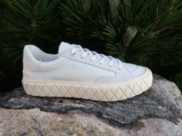 Palladium Palla Ace LO Mix