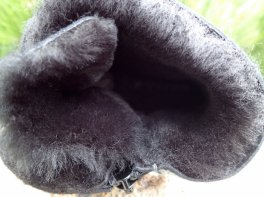 Waldläufer Hitomi