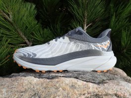 Hoka Challenger Art 7