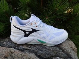 Mizuno Wave Momentum Pro