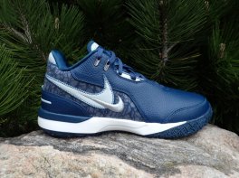  Nike LeBron NXXT Gen AMPD