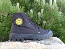 Palladium Pampa Interceptor