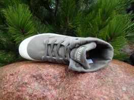 Palladium 
