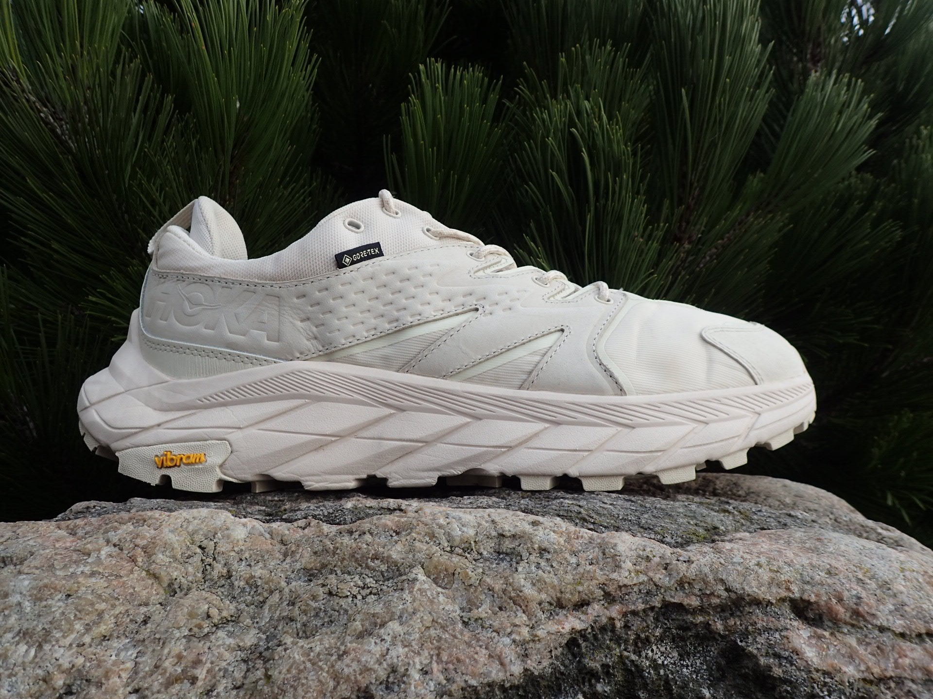 Hoka Anacapa Low GTX