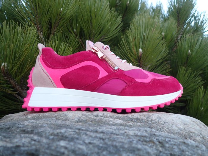 Waldläufer Pinky