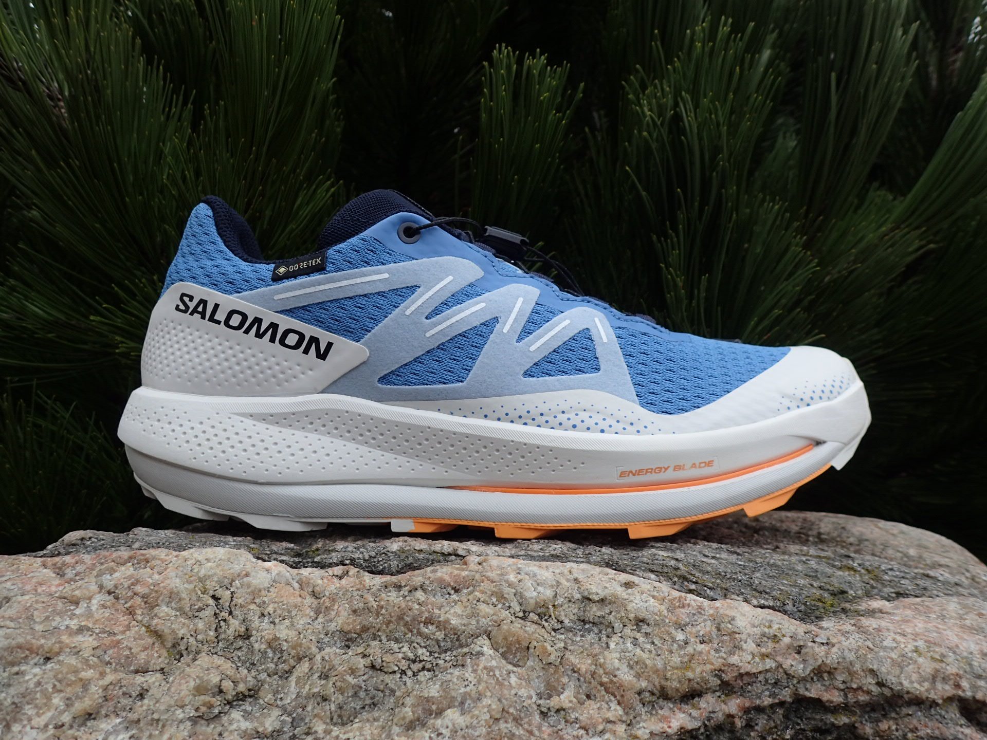 Salomon Pulsar Trail GTX