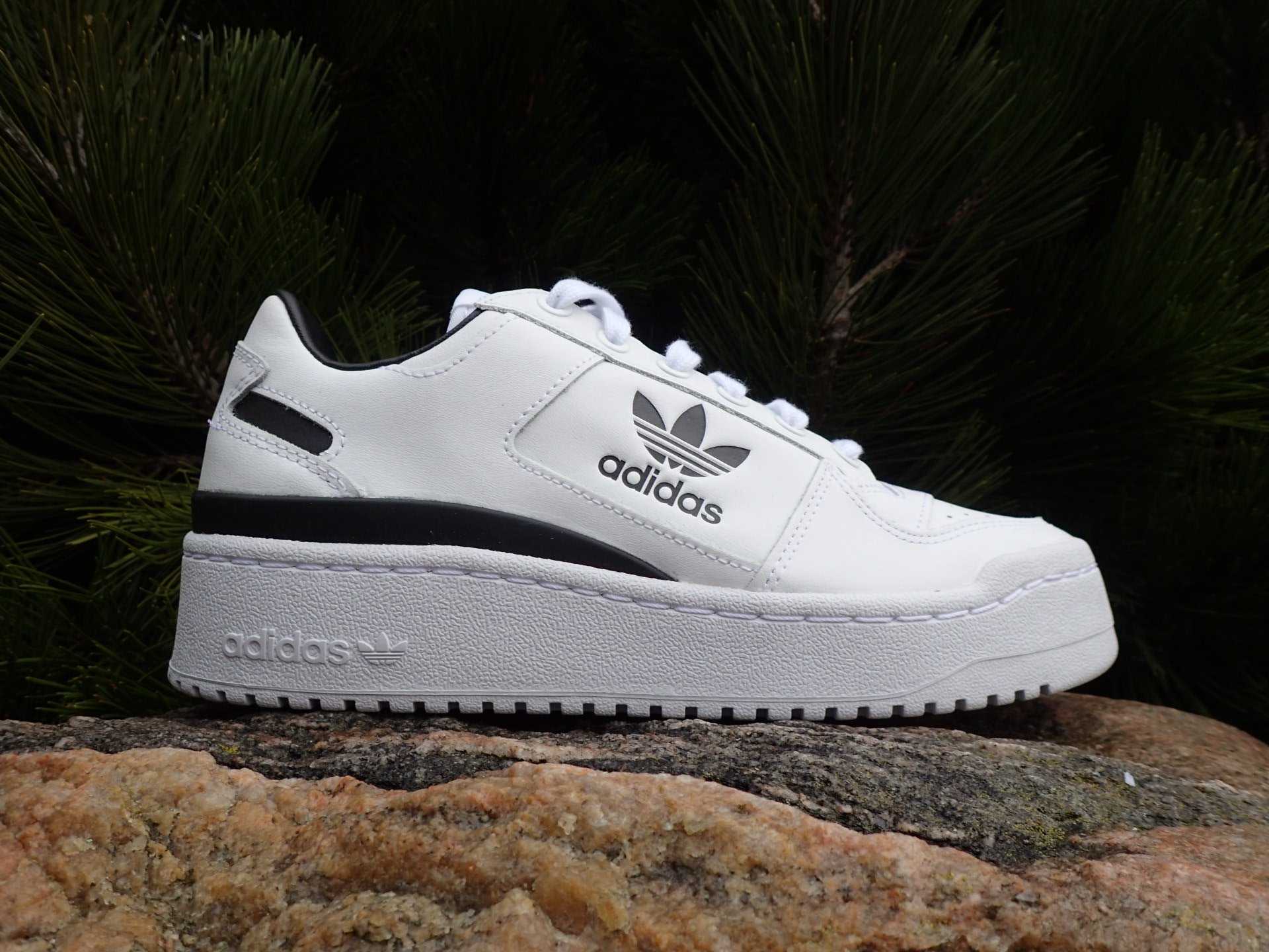 Adidas Forum Bold