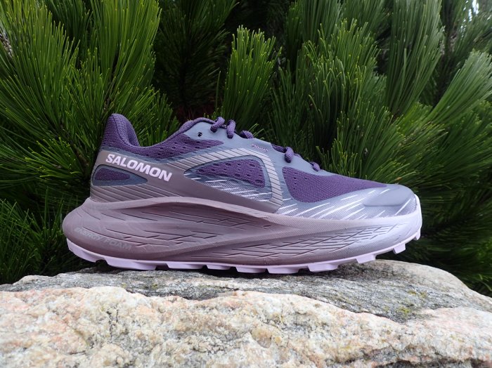 Salomon Glide Max TR