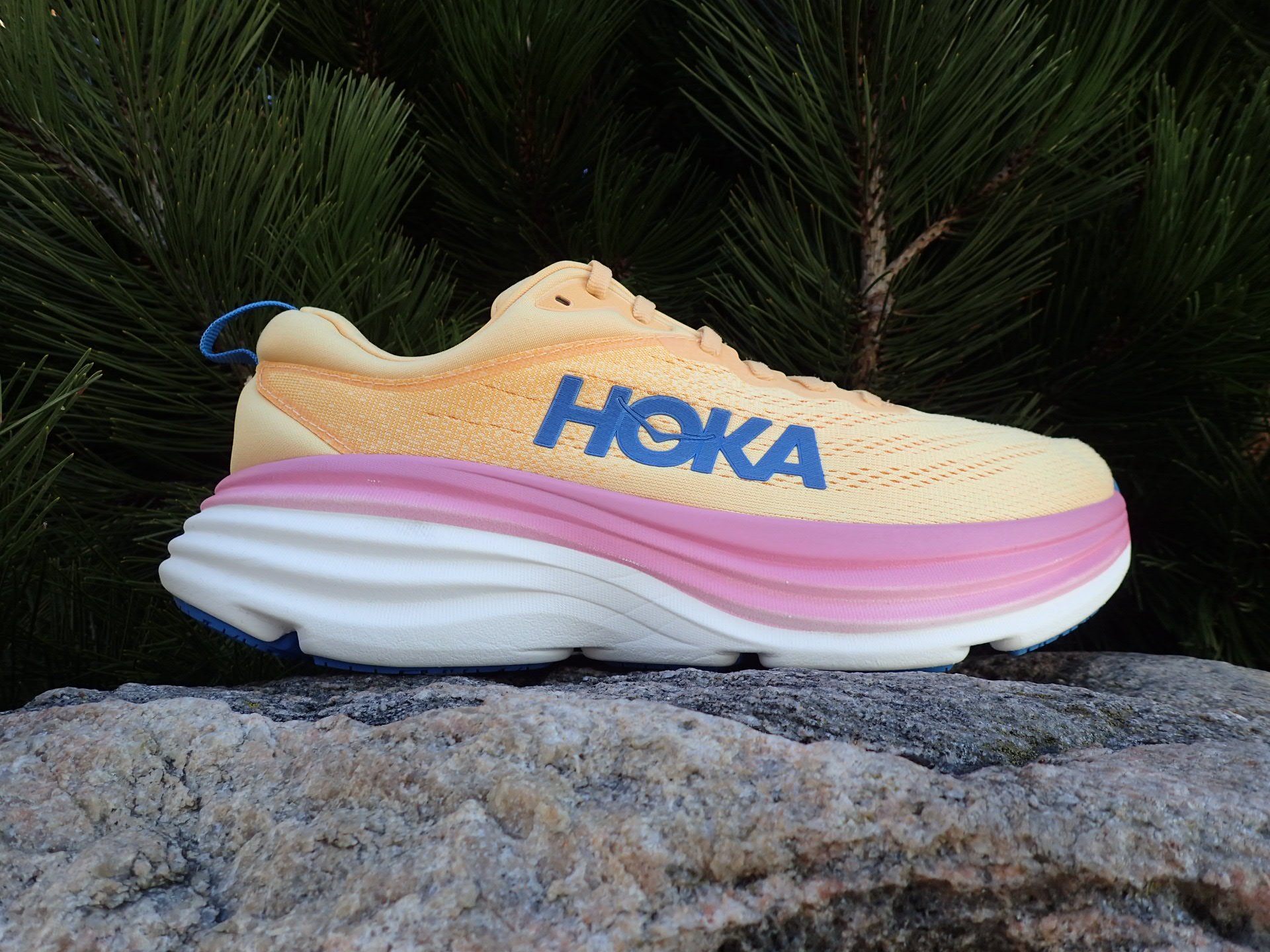 Hoka Bondi 8