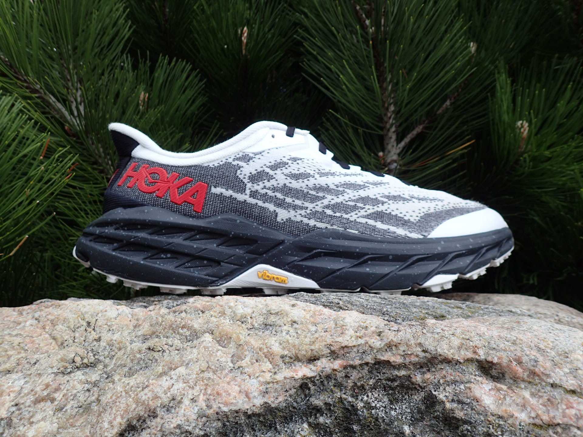 Hoka Speedgoat 5